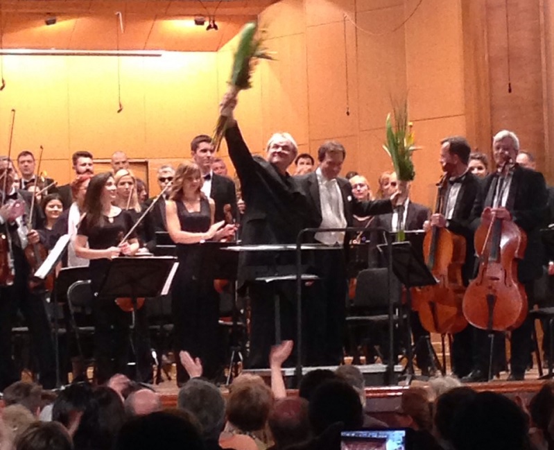 Лучић звезда вечери